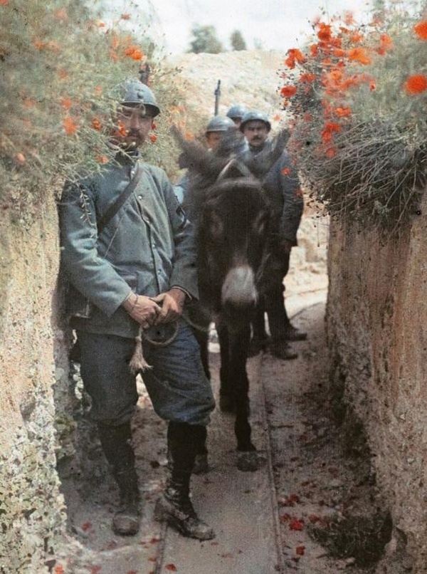 Couverture du livre Plaques sensibles. Autochromes de la Grande Guerre