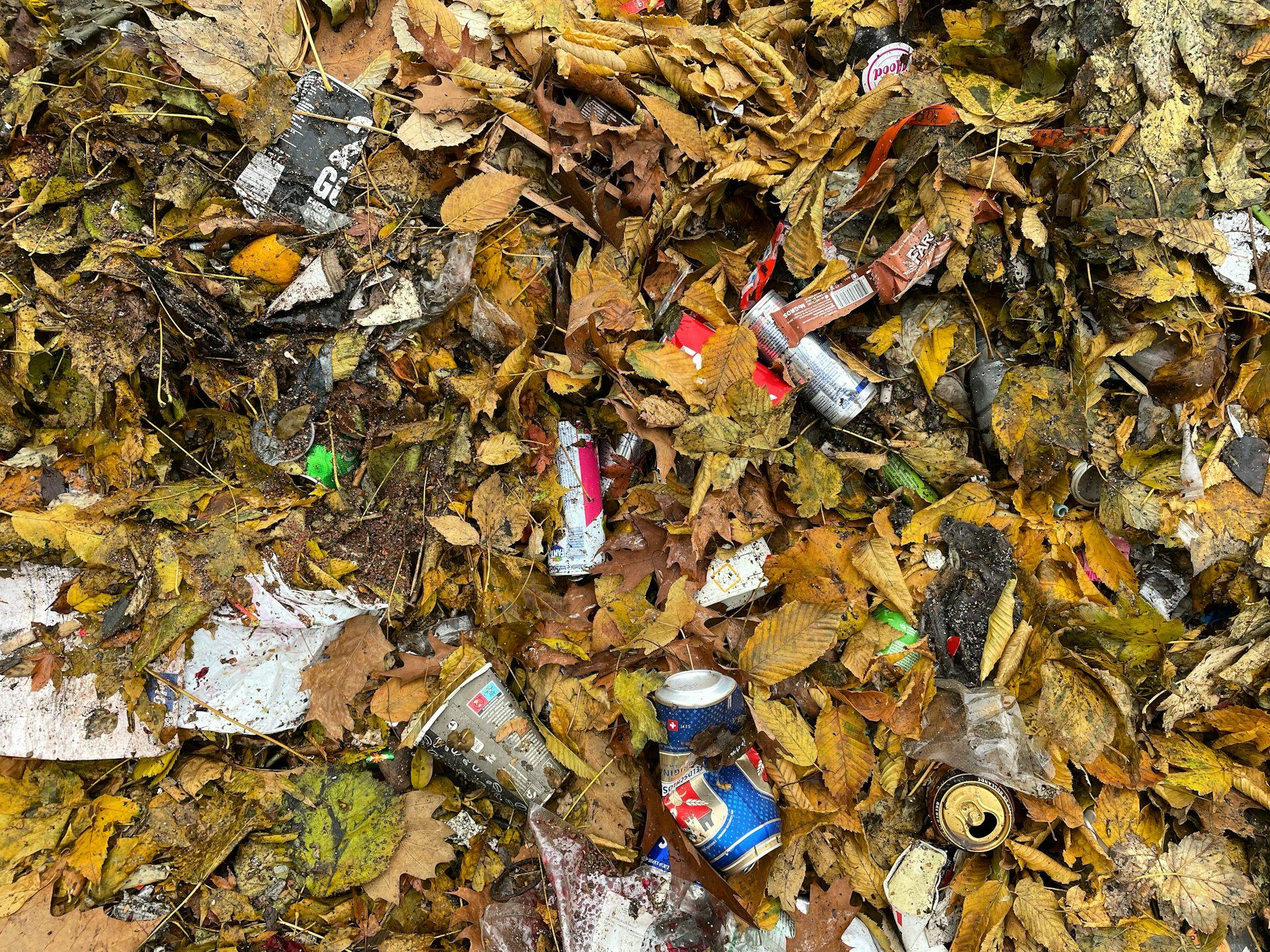 Photo de déchets sur un sol de forêt