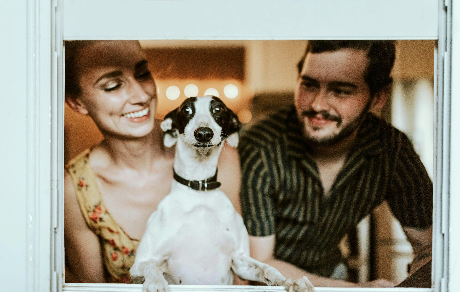 Photo d'un couple entourant un chien