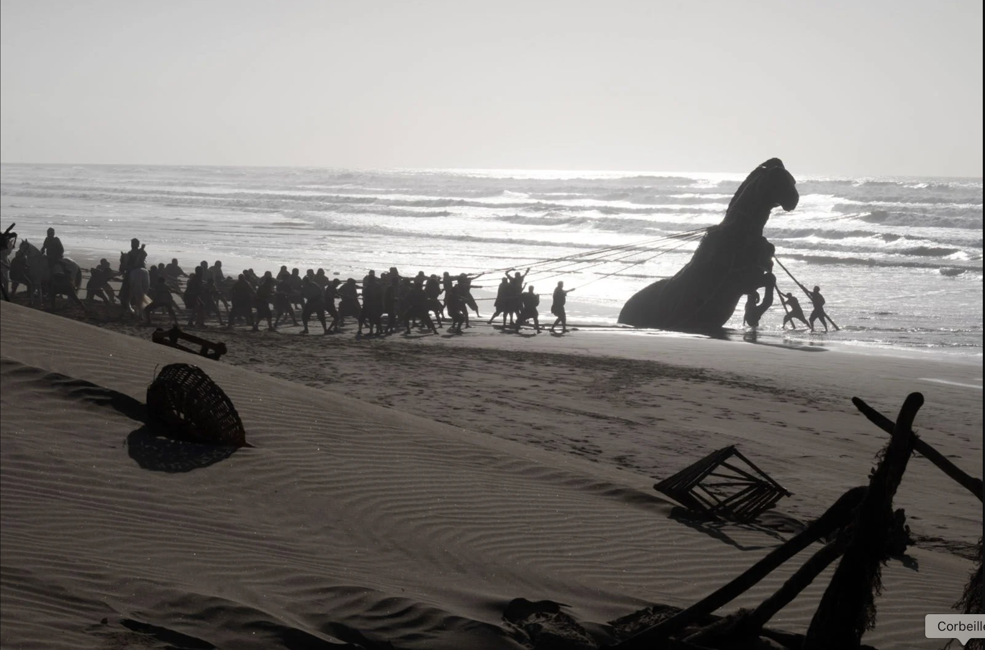 Image des troyens découvrant un cheval en bois sur la plage.