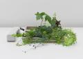 Oeuvre de Michel Blazy, une plante pousse dans un téléphone fixe
