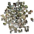 collage de photos