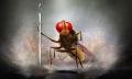 Eega, la mouche vengeresse