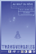 affiche du festival transversales
