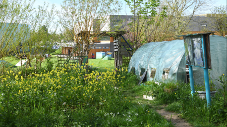 Photo du potager du campus Villejean