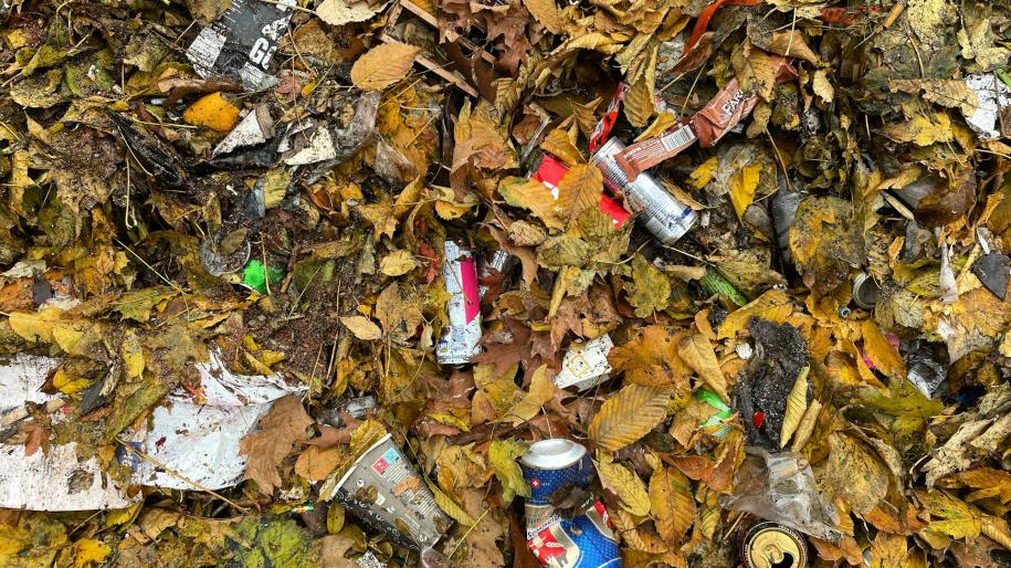 Photo de déchets sur un sol de forêt