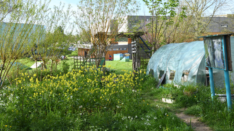Photo du potager du campus Villejean