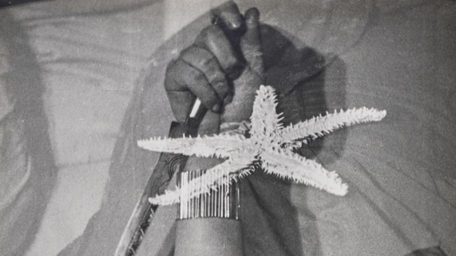 L’Étoile de mer