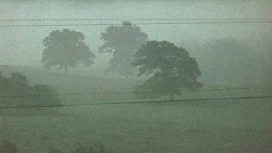 Fog Line