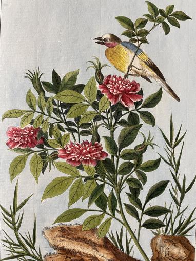 Illustration oiseau sur branche fleurie 