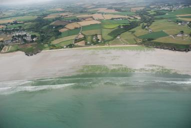 Algues vertes en baie de Douarnenez