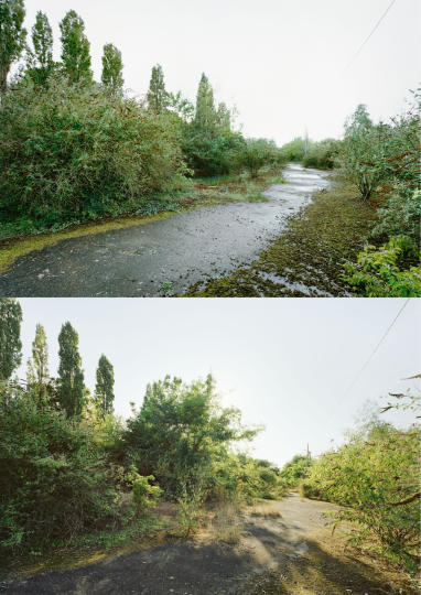 hoto des prairies Saint‑Martin avant son urbanisation