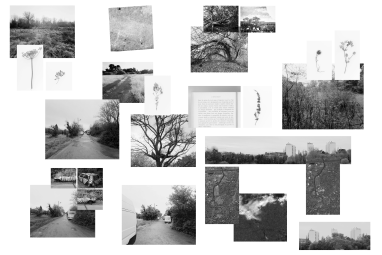 Ensemble de photos en noir et blanc de Caroline Cieslik "les sauvages