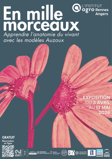 affiche de l'exposition en mille morceaux