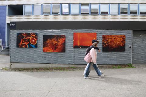 Photo de l'exposition pleine air Étoile Rétine de Marguerite Bornhauser