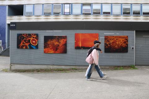 Photos de l'exposition "Étoile Rétine"