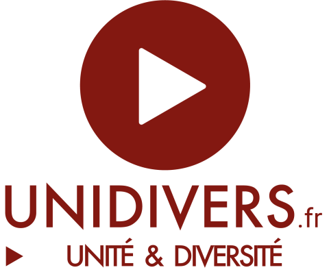 logo unidivers