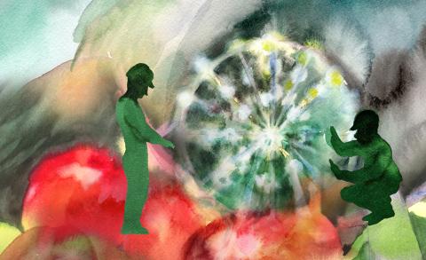 Visuel flûte enchantée