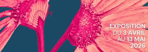 une partie du visuel sur fond bleu et des fleurs roses à droite et les informations de l'exposition du le côté 