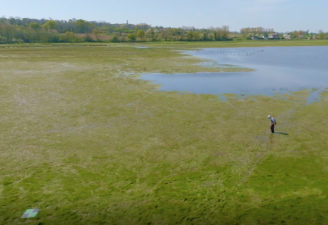 Marais de Sougeal drones