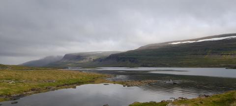 Vue du fjord Ísafjarðardjúp de l’île Æðey.