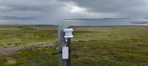 Installation à Snæfjallaströndinni d’un capteur enregistrant la température de l’air.