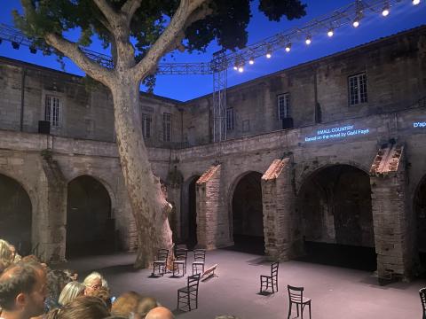 la scène du cloître des Célestins avec l'un de ses immenses platanes  