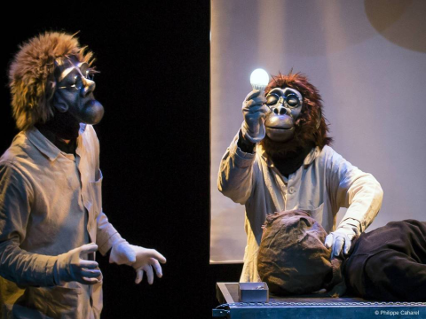Des marionnettes de singe lors d'un spectacle
