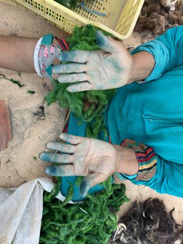 Sur la photo on voit une personne assise au sol, sur un terrain sableux, entourée de végétaux, les mains tachées, bleutées par la manipulation de ces végétaux. Elle porte une tenue colorée, bleue avec aux poignets des motifs mulicolores.